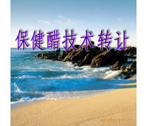 產(chǎn)品庫技術轉讓 驅(qū)動創(chuàng)新與價值優(yōu)化的戰(zhàn)略路徑